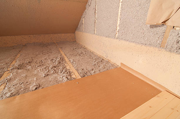 Best Specialized Insulation Services in Rio Bravo, TX