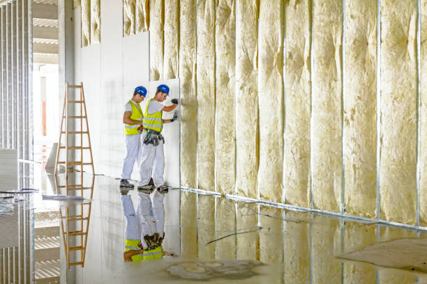 Trusted Rio Bravo, TX Insulation Contractor Experts